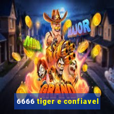 6666 tiger e confiavel