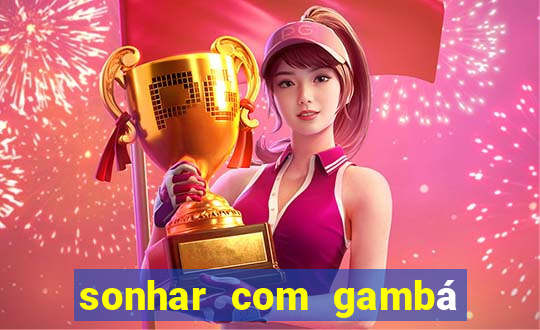 sonhar com gambá jogo do bicho