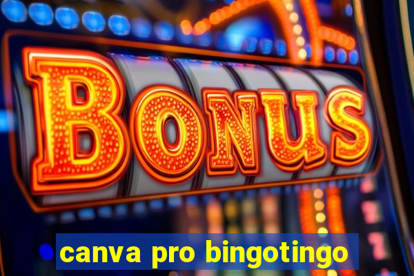 canva pro bingotingo