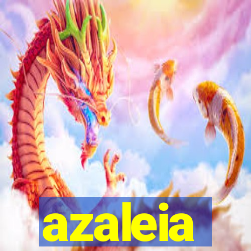 azaleia-br.com