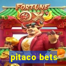 pitaco bets